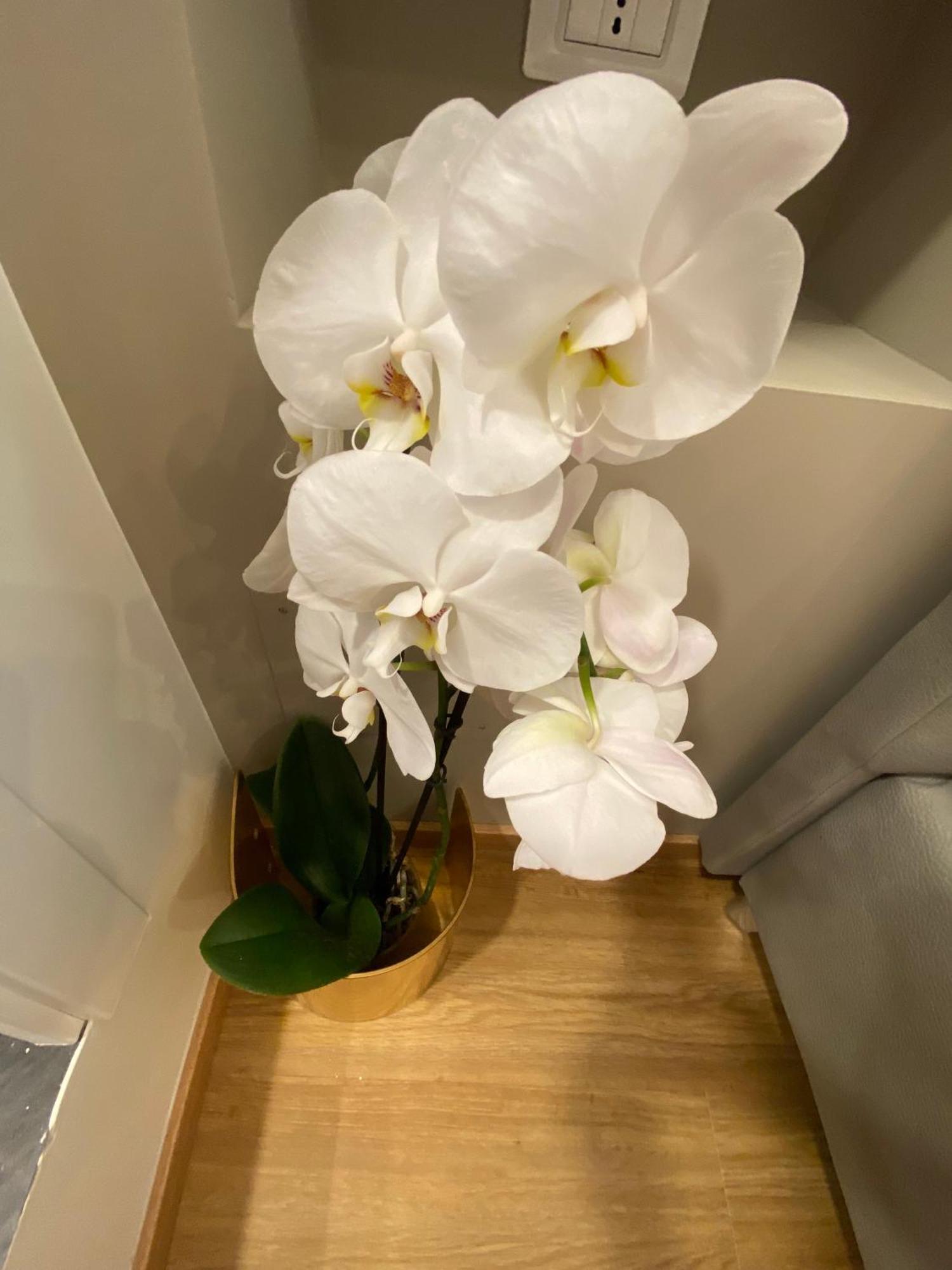 De Vince Suites - Luxury Rooms - Roma Termini 외부 사진